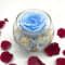 Reflet Baby Blue